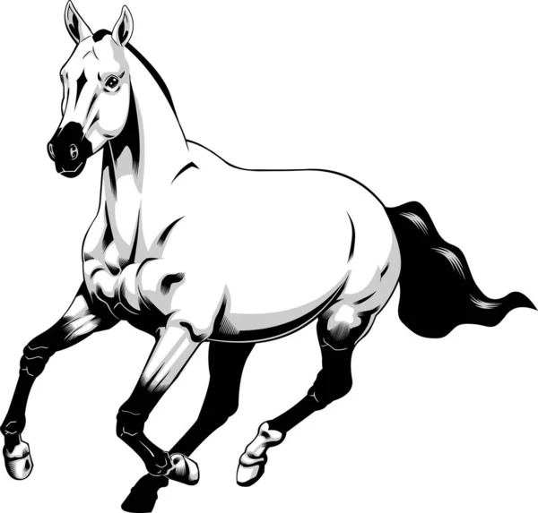 Horse Stylized Banner Vector Illustration — Stock Vector
