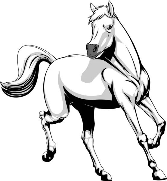 Horse Stylized Banner Vector Illustration — Stock Vector