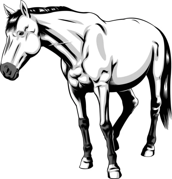 Cavallo Stilizzato Banner Illustrazione Vettoriale — Vettoriale Stock