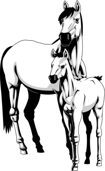 Pferd Stilisiertes Banner Vektorillustration — Stockvektor