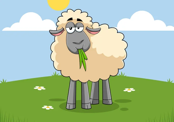 Schafe Auf Der Weide Vektor Illustration — Stockvektor