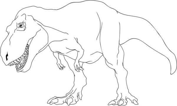 Outlined T-Rex Dinosaur Graphic Design. Vector Hand Drawn Illustration Isolated On Transparent Background