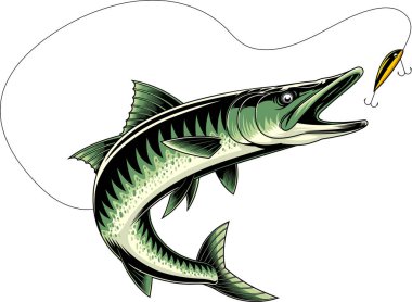 Barakuda Balığı Yakalıyor Balık Yemi Grafik Tasarımı. Vektör El Çizimi Resimleri Beyaz Arkaplanda İzole Edildi