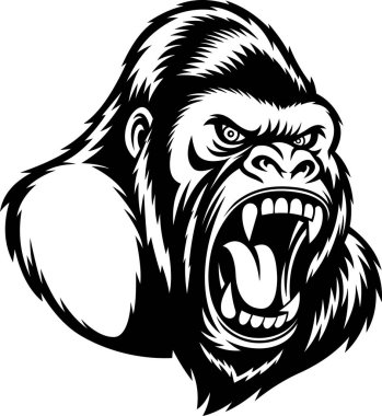 Siyah ve Beyaz Biçimli Kızgın Goril Başı - Vektör El Çizimi Şeffaf Arkaplanda İzole Edildi