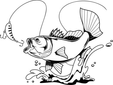 Deniz levreği çizgi filminin vektör çizimi