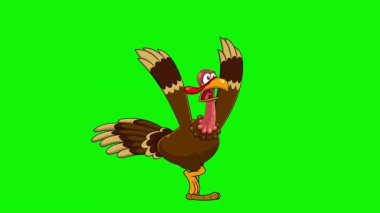 Yeşil Ekran 4K Animasyon Video Hareketi Arkaplansız Komik Türkiye Karakteri Panik içinde Çalışıyor
