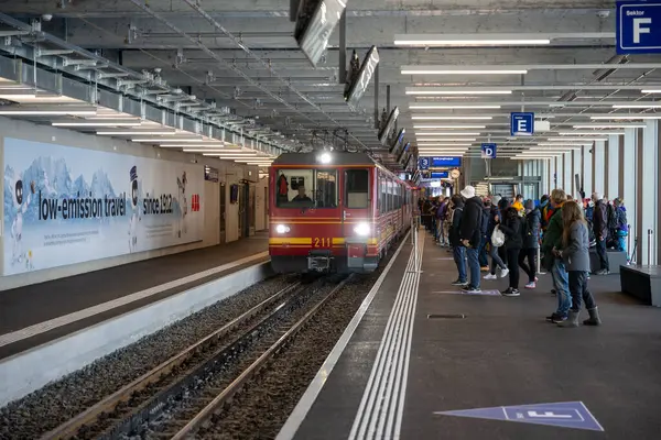 Колісний Поїзд Подорожує Залізницею Юнгфрауйох Верх Європи Клейн Шедег Засніженому Стокове Фото