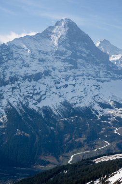 Baharda Wetterhorn ve Mattenberg, Grindelwald, Berner Oberland, Bern Kantonu, İsviçre
