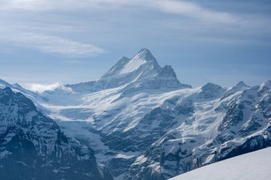 Baharda Wetterhorn ve Mattenberg, Grindelwald, Berner Oberland, Bern Kantonu, İsviçre