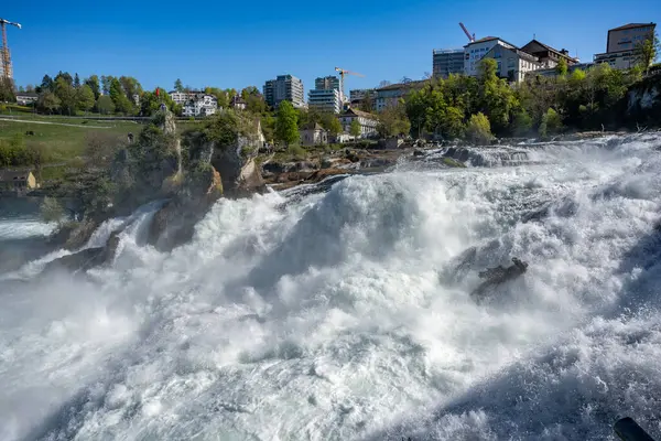 Rhine Falls veya Rheinfall, İsviçre