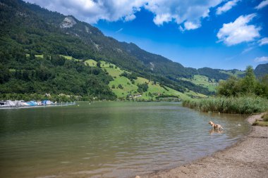Luzern 'deki Alpnachstad İsviçre Alp köyü. Tekne iskelesi ve manzara, İsviçre' deki turizm beldesi.
