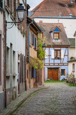 Sıcak Noel ışıkları olan güzel ışıklı bir ağaç Fransa 'daki Mulhouse Noel pazarında kırmızı ışıklı Tapınak Saint-tienne' in önünde duruyor..
