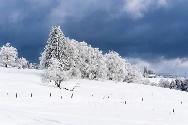 Τοπίο Χειμώνα Στο Δάσος Της Θουριγγίας Κοντά Στο Schmiedefeld Rennsteig — Φωτογραφία Αρχείου