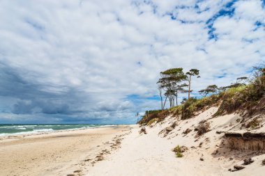 Waves on the Baltic Sea coast on the peninsula Fischland-Darss, Germany.