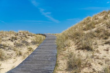 Landscape in the dunes near Norddorf on the North Sea island Amrum, Germany.