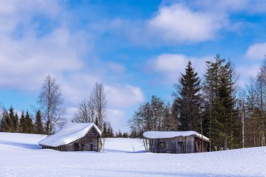 Kışın Finlandiya, Kuusamo 'da kar manzarası.