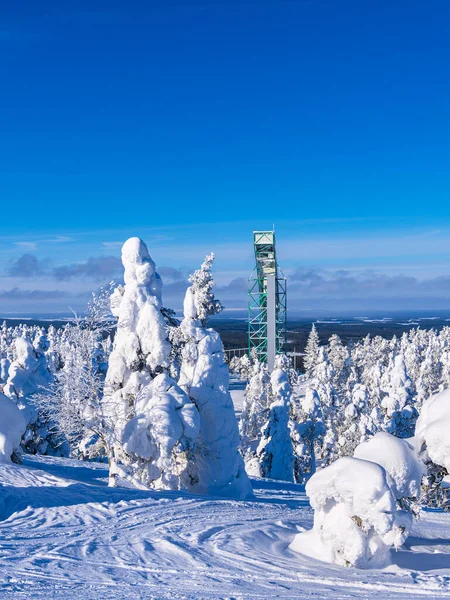 stock image Landscape with snow in wintertime in Ruka, Finland.