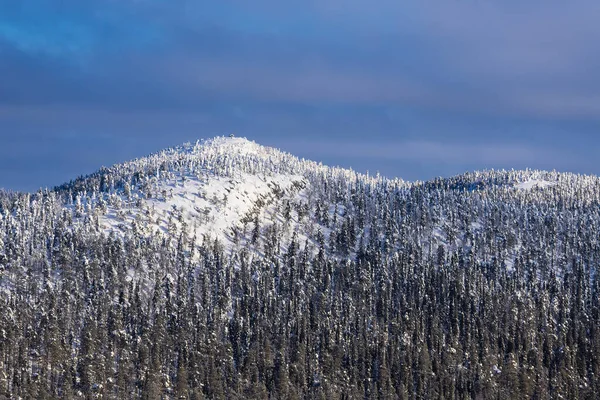 Schneelandschaft Winter Ruka Finnland — Stockfoto