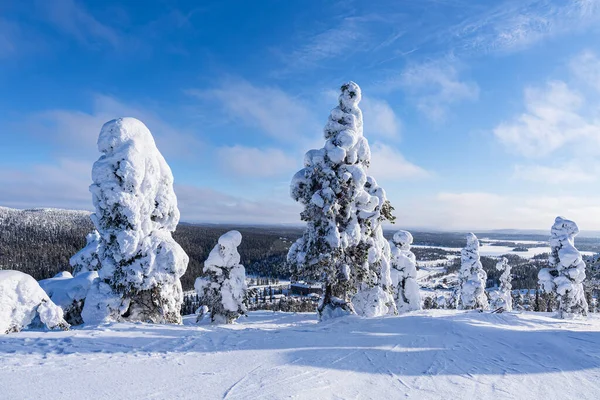 Paysage Avec Neige Hiver Ruka Finlande — Photo