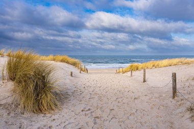 Beach on shore of the Baltic Sea in Graal Mueritz, Germany. clipart