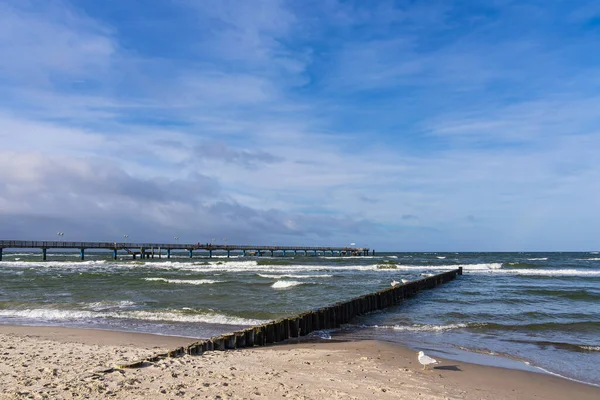 Groynes Pier Aan Oostzee Graal Mueritz Duitsland — Stockfoto