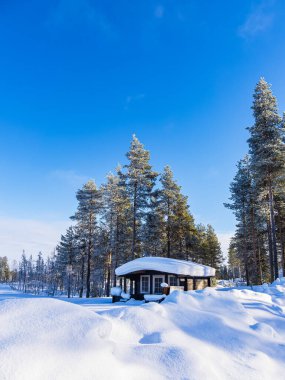 Kışın Finlandiya, Kuusamo 'da kar ve kulübe manzarası.