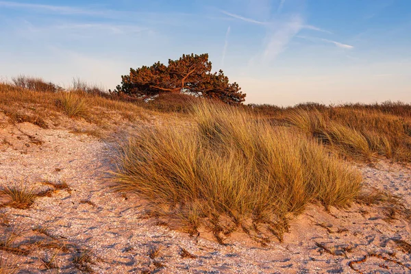 Пляж Клостері Острові Хідденсі Німеччина — стокове фото