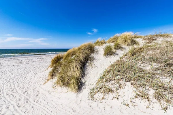 Beach Dunes Vitte Island Hiddensee Germany — Stock Photo, Image