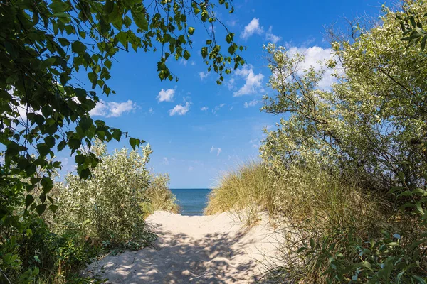 Beach Access Baltic Sea Coast Rosenort Nature Reserve Rostocker Heide — Stock Photo, Image