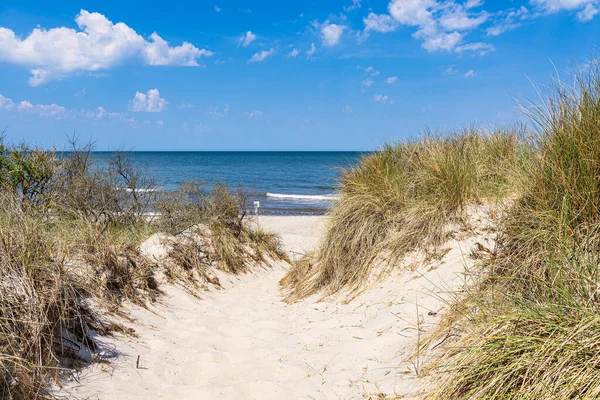 Dostęp Plaży Wybrzeżu Morza Bałtyckiego Pobliżu Rosenort Rezerwacie Przyrody Rostocker Zdjęcia Stockowe bez tantiem