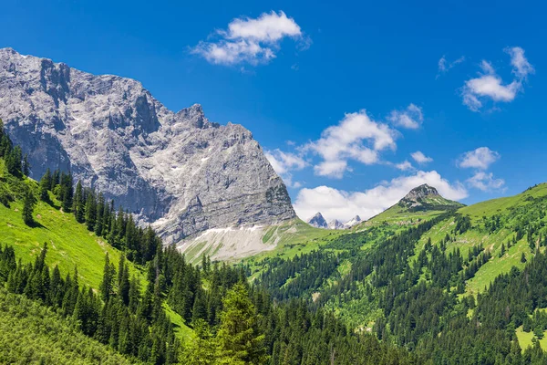 Krajobraz Dolinie Risstal Koło Alm Austrii Zdjęcie Stockowe