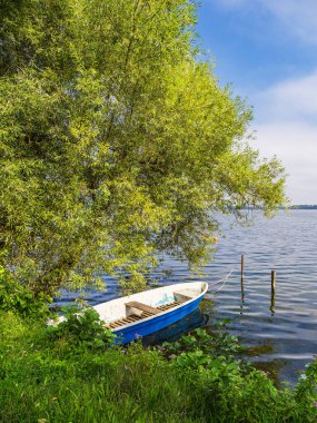 Almanya 'nın Zarrentin kentindeki Schaalsee gölünde ağaç ve tekne..