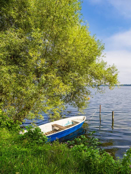 Almanya 'nın Zarrentin kentindeki Schaalsee gölünde ağaç ve tekne..