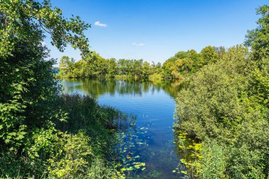 Almanya 'nın Schaalsee gölündeki Stintenburg adasındaki ağaçlarla göl manzarası.