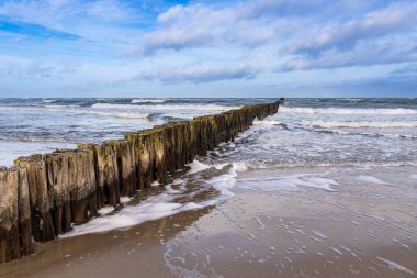 Groyne Baltık Denizi kıyısında Graal Mueritz, Almanya.