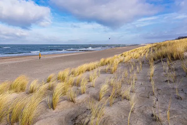 Spiaggia Sulla Riva Del Mar Baltico Graal Mueritz Germania — Foto Stock