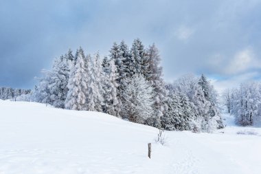 Schmiedefeld am Rennsteig, Almanya yakınlarındaki Thuringian Ormanında kışın manzara.