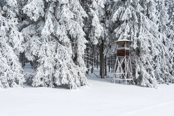 Пейзаж Зимнее Время Тюрингском Лесу Недалеко Шмидефельда Реннштайг Германия Стоковое Изображение