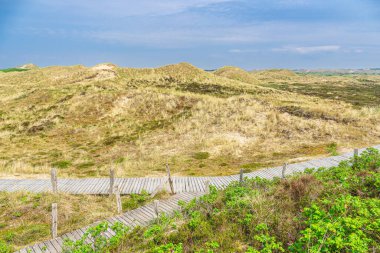 Landscape in the dunes near Norddorf on the North Sea island Amrum, Germany.