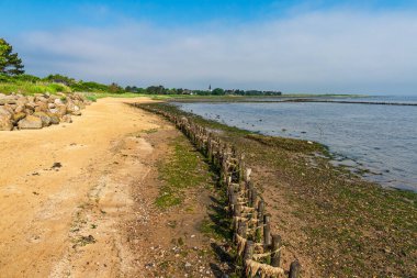 Nebel 'de damızlıklarla dolu plaj Kuzey Denizi adası Amrum, Almanya.