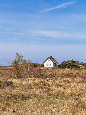 Almanya 'nın Hiddensee adasında Vitte ile Neuendorf arasındaki kulübe..