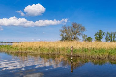 Almanya 'nın Kullanım Adası' ndaki Warthe yakınlarındaki manzara.