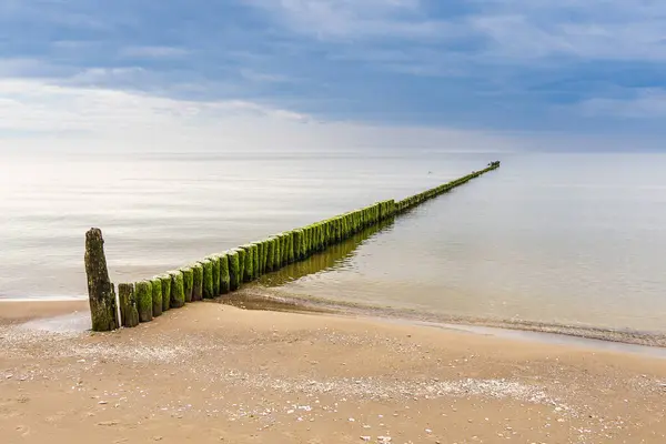 stock image Groyne on the Baltic Sea coast in Bansin, Germany.