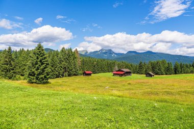 Almanya 'da Mittenwald ile Kruen arasındaki Kambur Çayırda saman kulübesi.