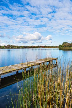 Footbridge and reeds on Krakow Lake in the village of Serrahn, Germany. clipart