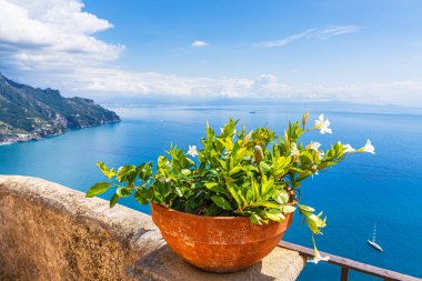 İtalya 'daki Amalfi Sahili' nde Ravello 'da saksı.