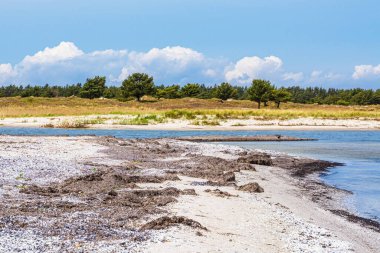 Almanya 'nın Fischland-Darss yarımadasındaki Prerow acil durum limanında Baltık Denizi kıyısı.