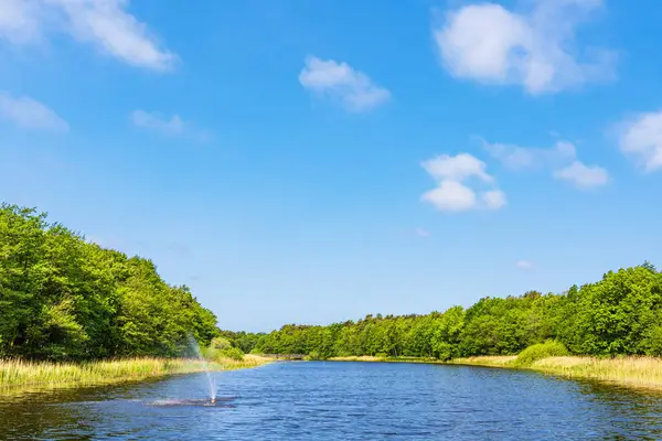 Prerow 'daki Prerowstrom körfezi Fischland-Darss yarımadasında, Almanya.