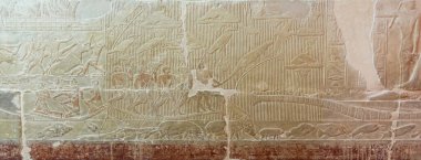 SAQQARA, EGYPT - 23 Mart 2023: Mısır 'ın Saqqara mezarlığındaki binaların iç duvarlarından resimler