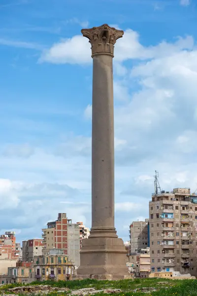 Pilar Pompeu Antigo Gigante Território Serapeu Alexandria Egito Contra Edifícios Imagem De Stock